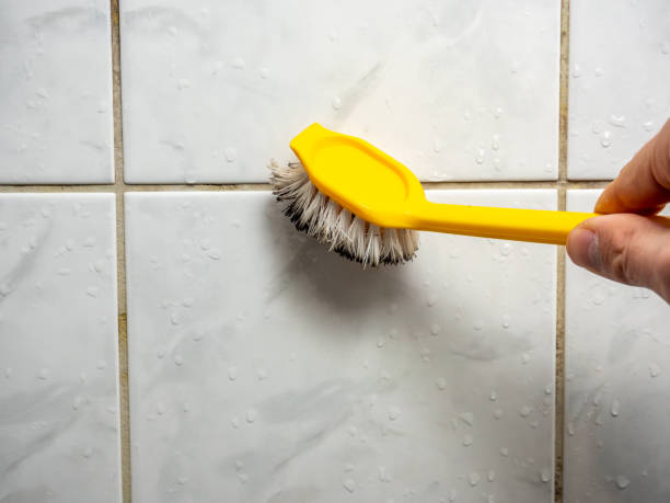 Office Mold Removal Services in Clear Lake, SD