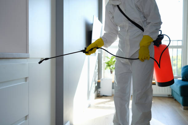 Best Residential Mold Removal  in Clear Lake, SD