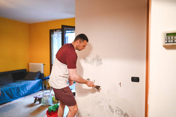 Best Mold Damage Repair  in Clear Lake, SD